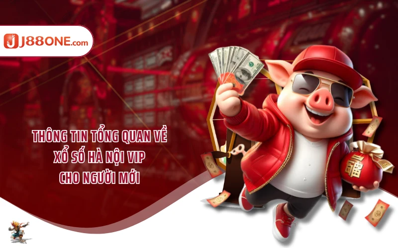 Thông tin tổng quan về xổ số Hà Nội Vip cho người mới
